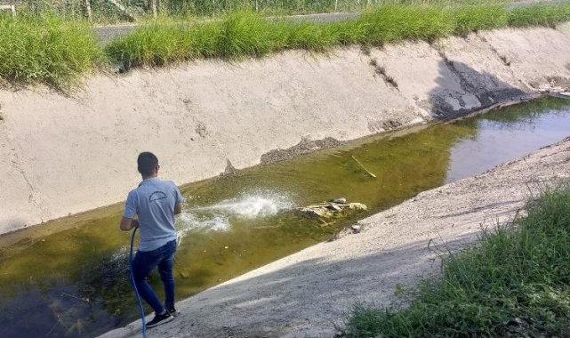 Manisa Salihli'de ilaçlamalar sürüyor