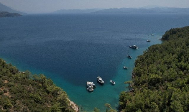 Muğla doğası için 174 dava açtı!