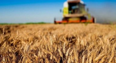 1,5 milyar TL'lik tarımsal destek hesaplara aktarılıyor