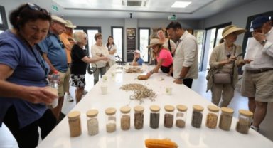 Efes Selçuk'ta agro turizm atağı