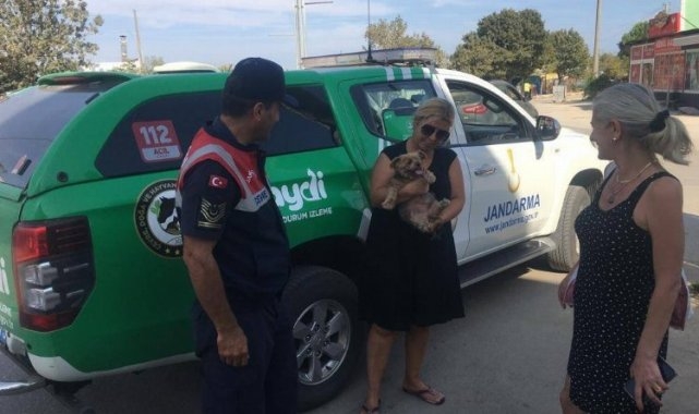 Erikli&#039;de jandarmadan evcil hayvanlara yönelik faaliyet
