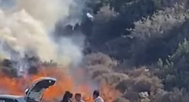 Mangal sevdası uğruna ormanı yakıyorlardı