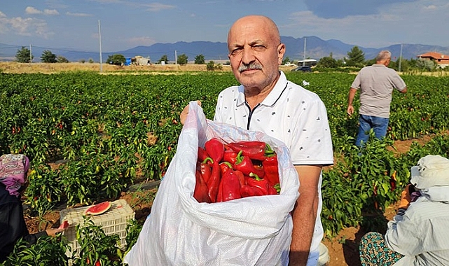 Örnek olsun diye ‘Kapya’ biber dikti hedef 25 ton hasat