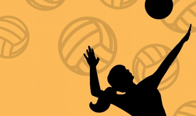 Şampiyonluk voleybol taleplerini arttırdı!