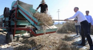 Tarladan sofraya... Cerrah Kuru Fasulyesi'nde hasat başladı