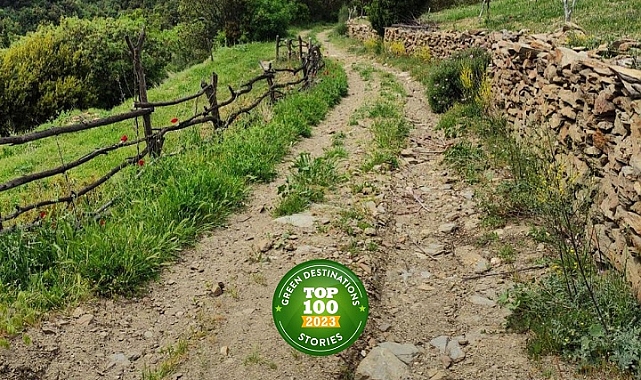 Efeler Yolu, En İyi 100 Hikâye listesinde