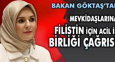 Göktaş'tan Mevkidaşlarına Filistin İçin Acil İş Birliği Çağrısı
