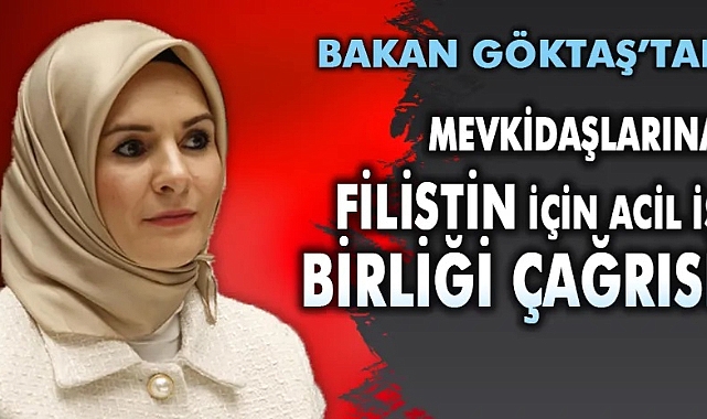 Göktaş'tan Mevkidaşlarına Filistin İçin Acil İş Birliği Çağrısı