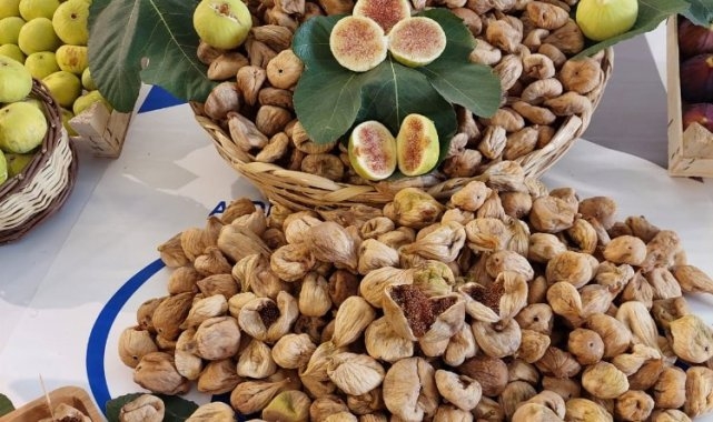 Kuru incir ihracatında tarihi rekor
