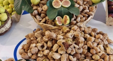 Kuru incir ihracatında tarihi rekor