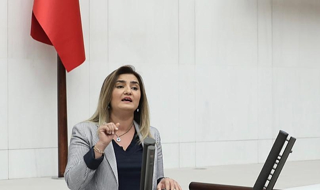 Sevda Erdan Kılıç,  Cumhurbaşkanı’na Seslendi: