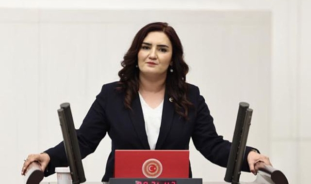 Akran Zorbalığını Meclis Gündemine Taşıdı