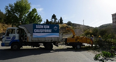 Budanan dallar gübreye dönüşüyor