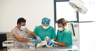 Can dostlara modern tedavi imkanı