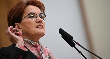 CHP ile İYİ Parti arasına karakedi girdi