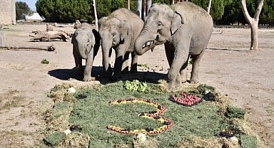 Deniz Gaziantep’e gidiyor
