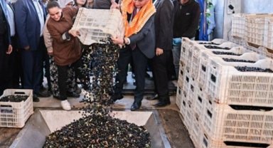 Zeytin üreticilerinin tesis sevinci