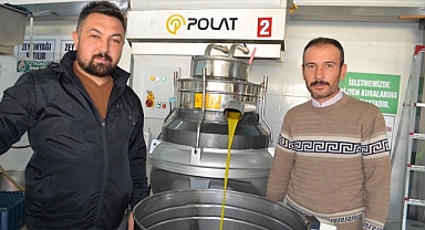 Zeytinyağı Fabrikasında Zeytin Sıkımlarına Başlandı