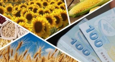 1 milyar 81 milyon TL tarımsal destek hesaplarda