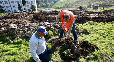 Karşıyaka’da ağaç varlığı hızla artmaya devam ediyor