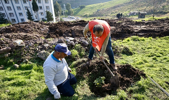 Karşıyaka’da ağaç varlığı hızla artmaya devam ediyor