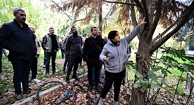 Yeşil Bornova’da daha estetik görünüm için budama eğitimi