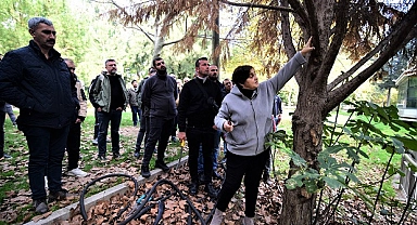 Yeşil Bornova’da daha estetik görünüm için budama eğitimi