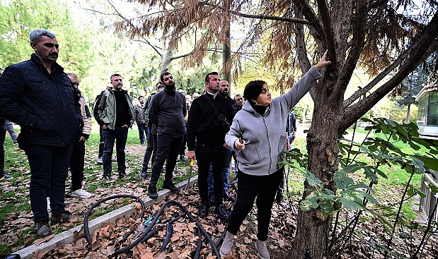 Yeşil Bornova’da daha estetik görünüm için budama eğitimi