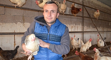 Gezen Tavuk Yumurtalarına İlgi Büyük