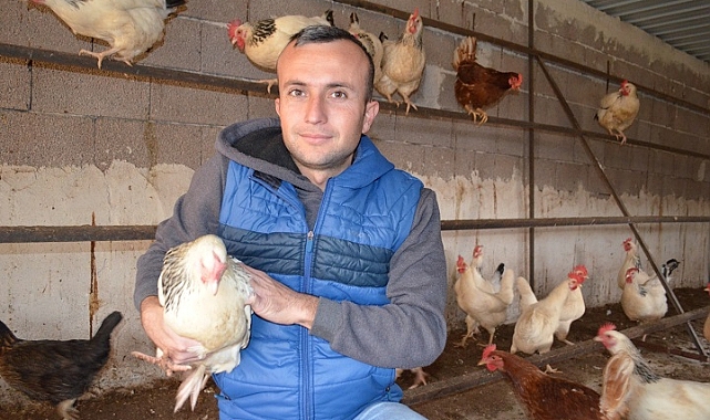 Gezen Tavuk Yumurtalarına İlgi Büyük