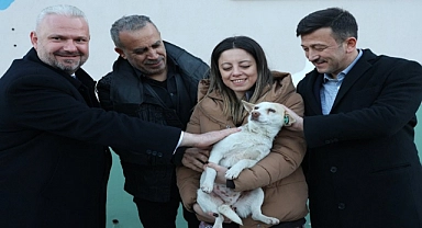Haluk Levent-Hamza Dağ yan yana!
