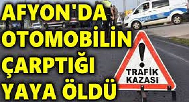 Afyonkarahisar'da otomobilin çarptığı yaya öldü