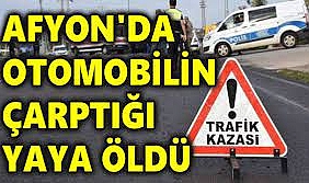 Afyonkarahisar'da otomobilin çarptığı yaya öldü