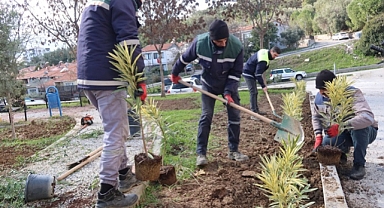 Bornova’da parklara yeni bitkiler dikiliyor