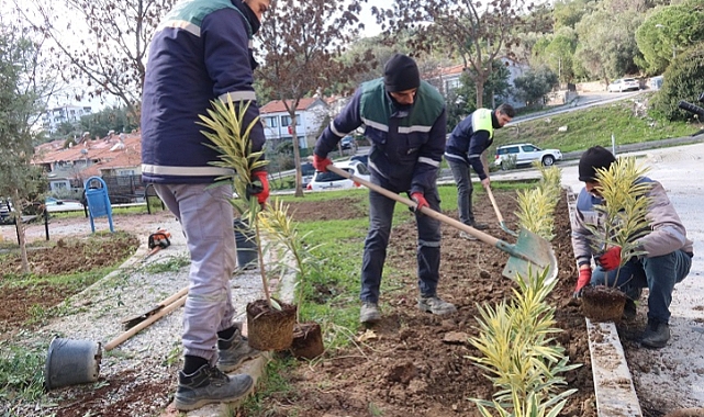 Bornova’da parklara yeni bitkiler dikiliyor