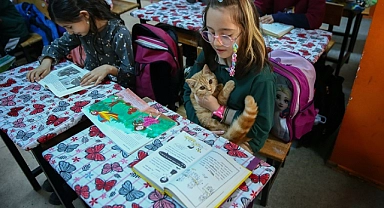 "Fıstık" isimli kedi, İzmir'deki kitap okuma projesinin maskotu oldu