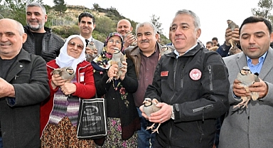 "İzmir'de Kadın Gücü Sakız Ağacına Can Katıyor..!”