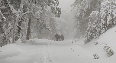 Mahsur kalan 3 kesim işçisi kurtarıldı
