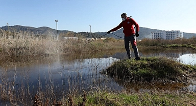 Menderes’te Larva Mücadelesi