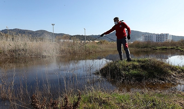 Menderes’te Larva Mücadelesi