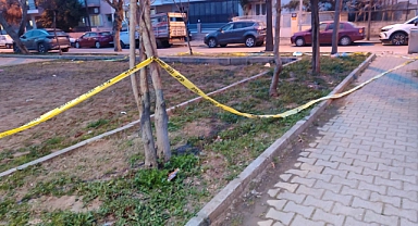 Ödemiş'te 2 kişiyi silahla yaralayan şüpheli tutuklandı