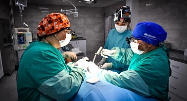 Seyrek Sahipsiz Hayvan Hastanesi can dostlara yaşam veriyor