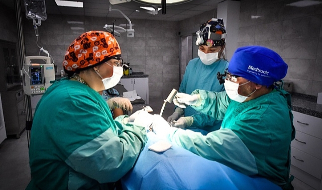 Seyrek Sahipsiz Hayvan Hastanesi can dostlara yaşam veriyor