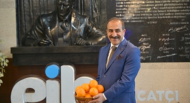 Türkiye'nin narenciye ürünleri ihracatı, 2023'te 1 milyar doları aştı