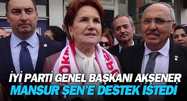 Akşener Bolu'da esnafı ziyaret etti