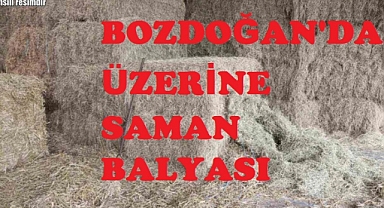 Bozdoğan'da üzerine saman balyası düşen kişi öldü
