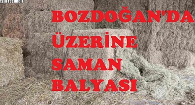 Bozdoğan'da üzerine saman balyası düşen kişi öldü