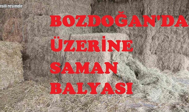 Bozdoğan'da üzerine saman balyası düşen kişi öldü