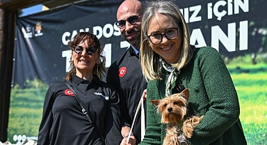 Can Dostlarımız İçin Tam Zamanı