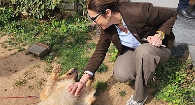 Modern Hayvan Barınakları ve Hayvan Yerinde Hizmete Açılacak